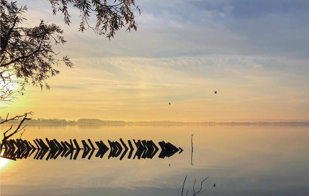 Lovely Home In Lembruch-Duemmer See With Sauna Buitenkant foto